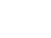 Wild logo