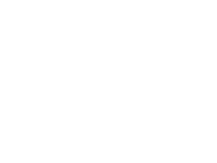 Nokian Tyres logo